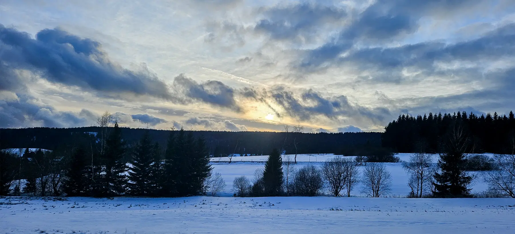 zima